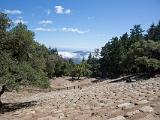 Mount Tamalpais 014